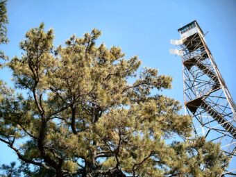 Prova på jobbet som parkvakt i Firewatch