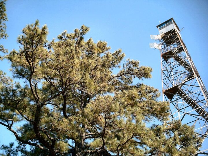Prova på jobbet som parkvakt i Firewatch